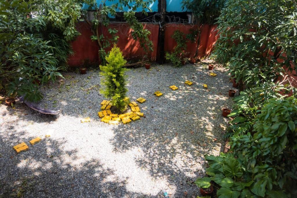 Blue Door Villa By Homeyhuts Rājpur Esterno foto